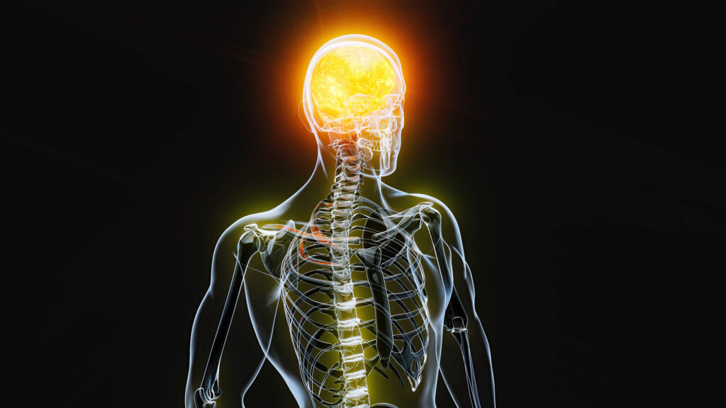 Best Neurologist in Jamshedpur