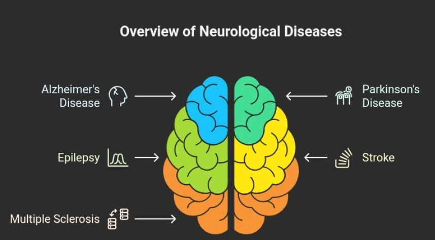 Signs of neurological problems